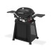 Weber Q2800N + STAND PREMIUM plynový gril